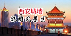 欧美俄越中日韩高清尻逼一级录像中国陕西-西安城墙旅游风景区
